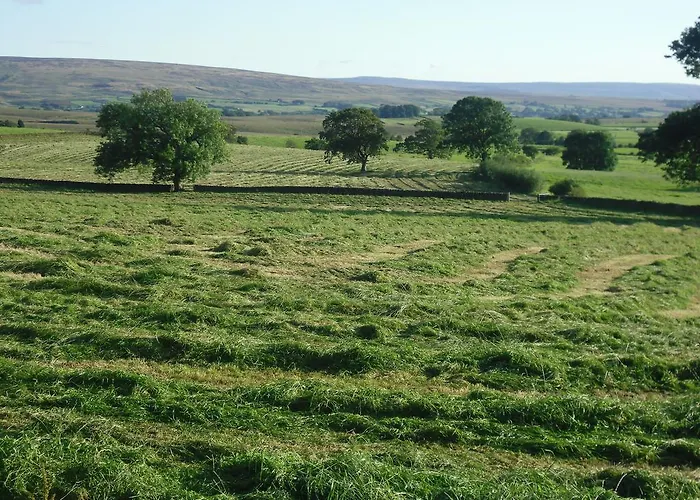 Moor View