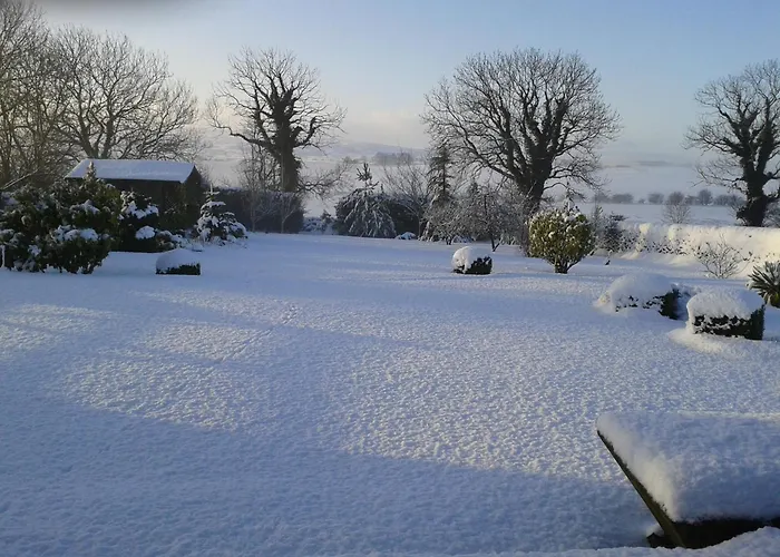 Moor View