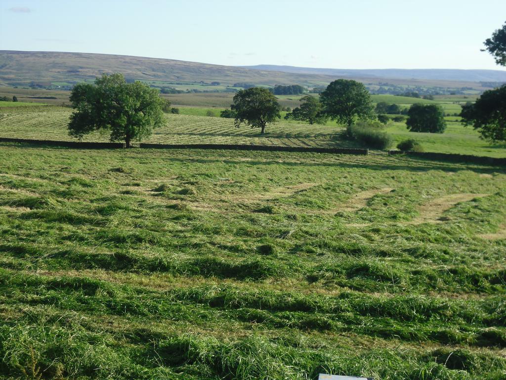 Moor View