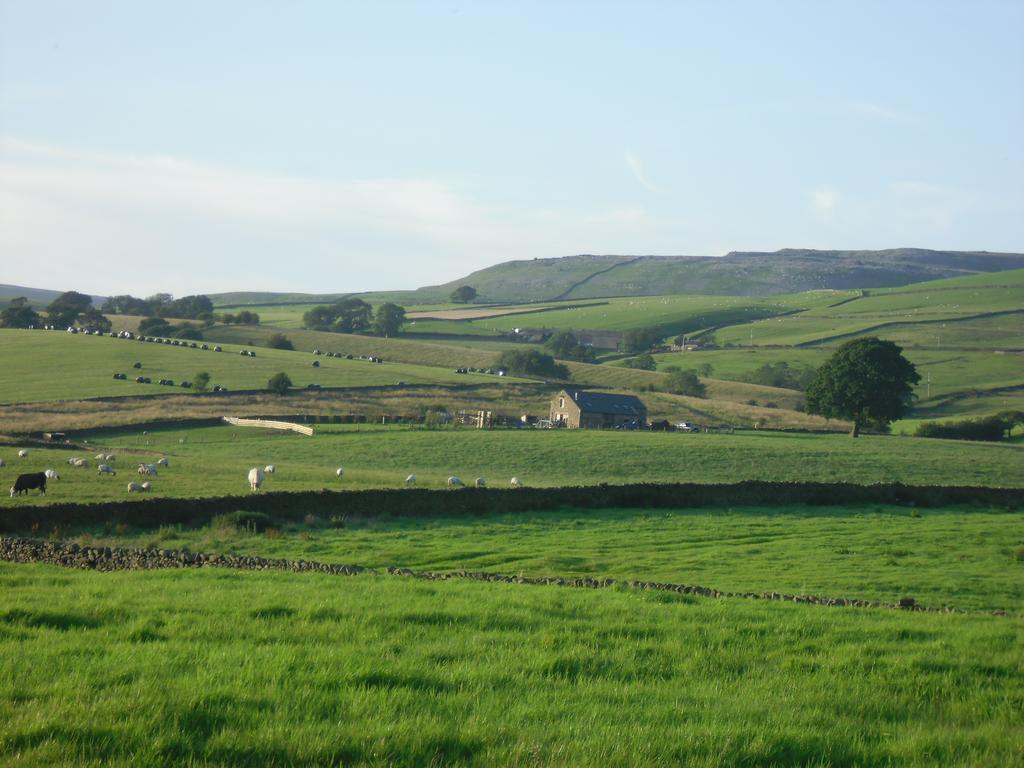 Moor View 3*